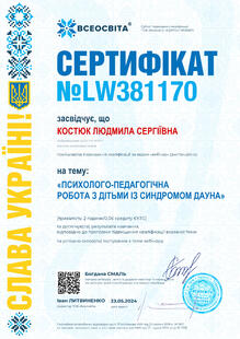 №LW381170