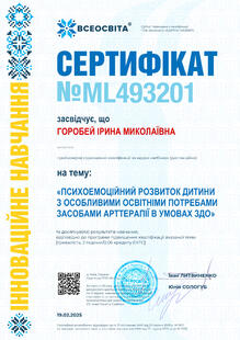 №ML493201