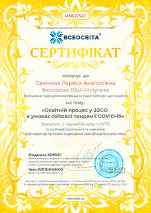 №MN637527