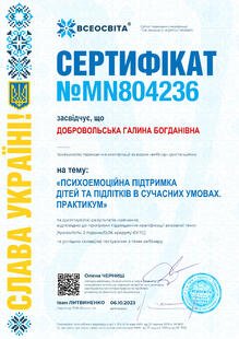 №MN804236