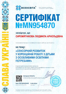 №MN954870