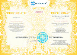 Сторона №1