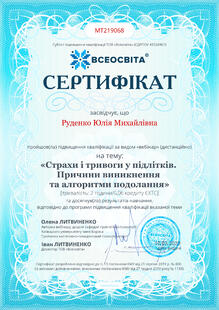 №MT219068