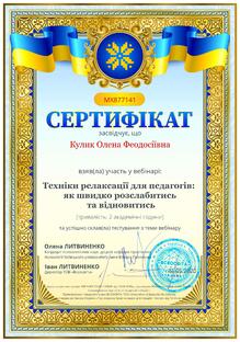 №MX877141