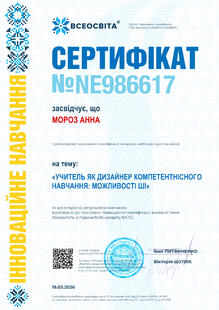 №NE986617