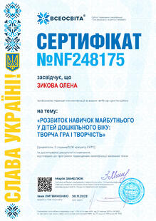 №NF248175