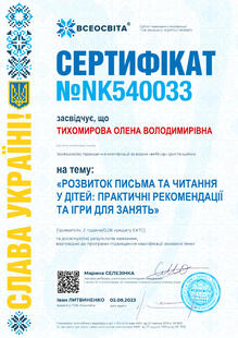 №NK540033