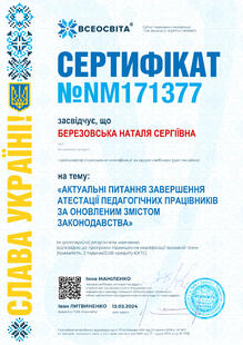 №NM171377