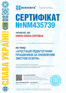 №NM435739