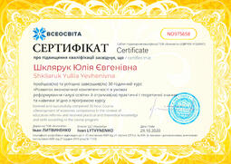 Сторона №1