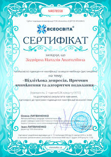 №NR078558