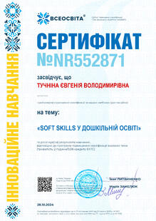 №NR552871