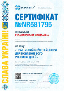 №NR581795