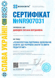 №NR907031