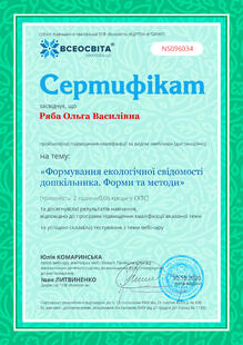 №NS096034