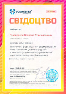 №NS294683