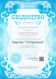 №NT075262