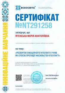 №NT291258