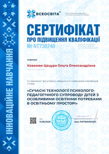 №NT738740