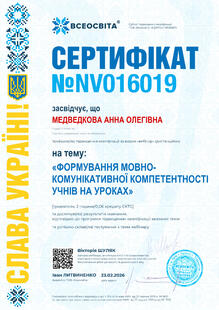 №NV016019