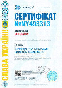 №NY493313