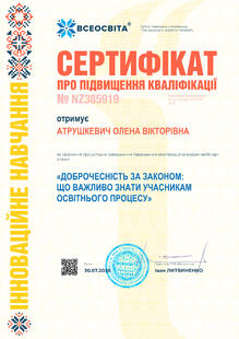 №NZ385919