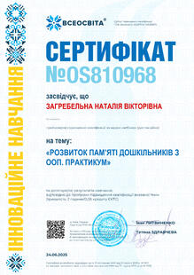 №OS810968