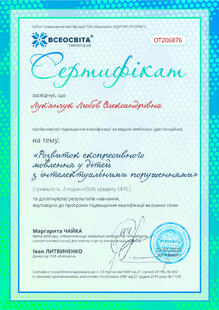 №OT206876