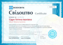 Сторона №1