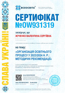 №OW931319