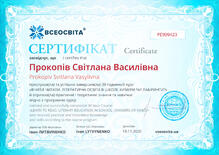 №PE909423