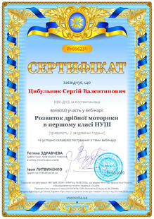 №PH996231