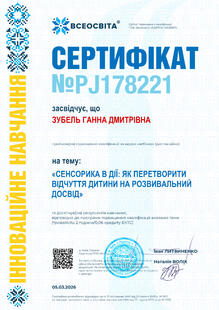 №PJ178221