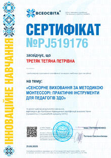№PJ519176