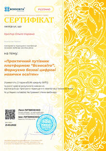 №PL519440