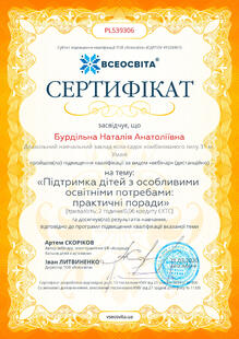 №PL539306