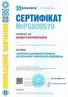 №PS809579