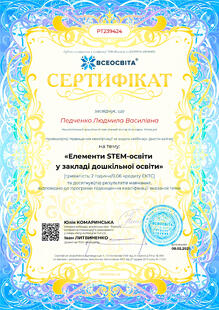 №PT239424