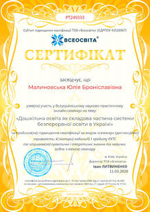 №PT249333