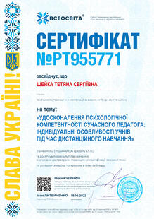 №PT955771