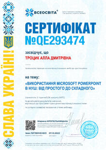 №QE293474