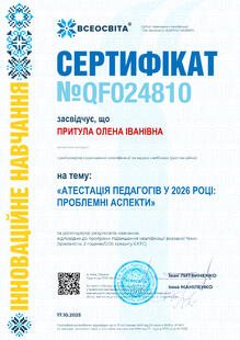 №QF024810