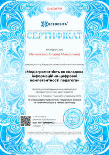 №QH728795