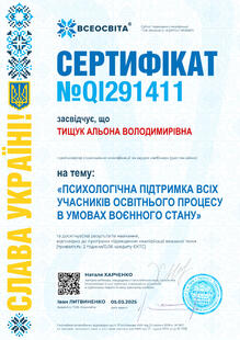 №QI291411