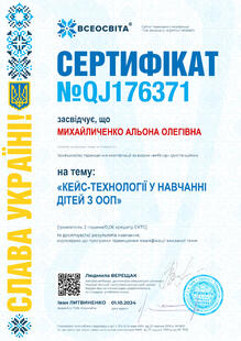 №QJ176371