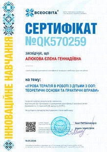 №QK570259
