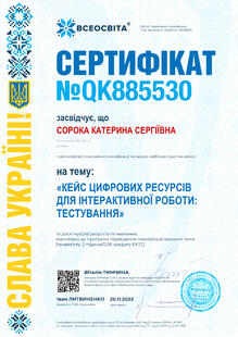 №QK885530