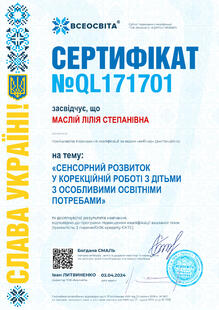 №QL171701