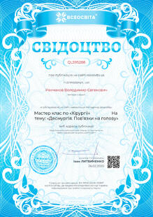 №QL595288