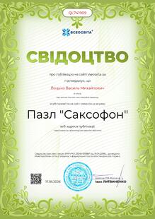 №QL741909